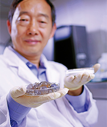 杨洪兴教授展示用以制成涂层的原材料及纳米物料。