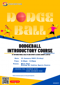 ex230117-dodgeball-introductory-course