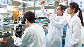 research postgraduate students doing experiment