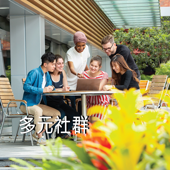 多元社群
