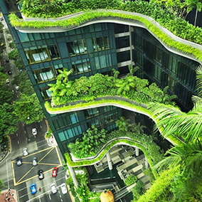 Sustainable and green design 