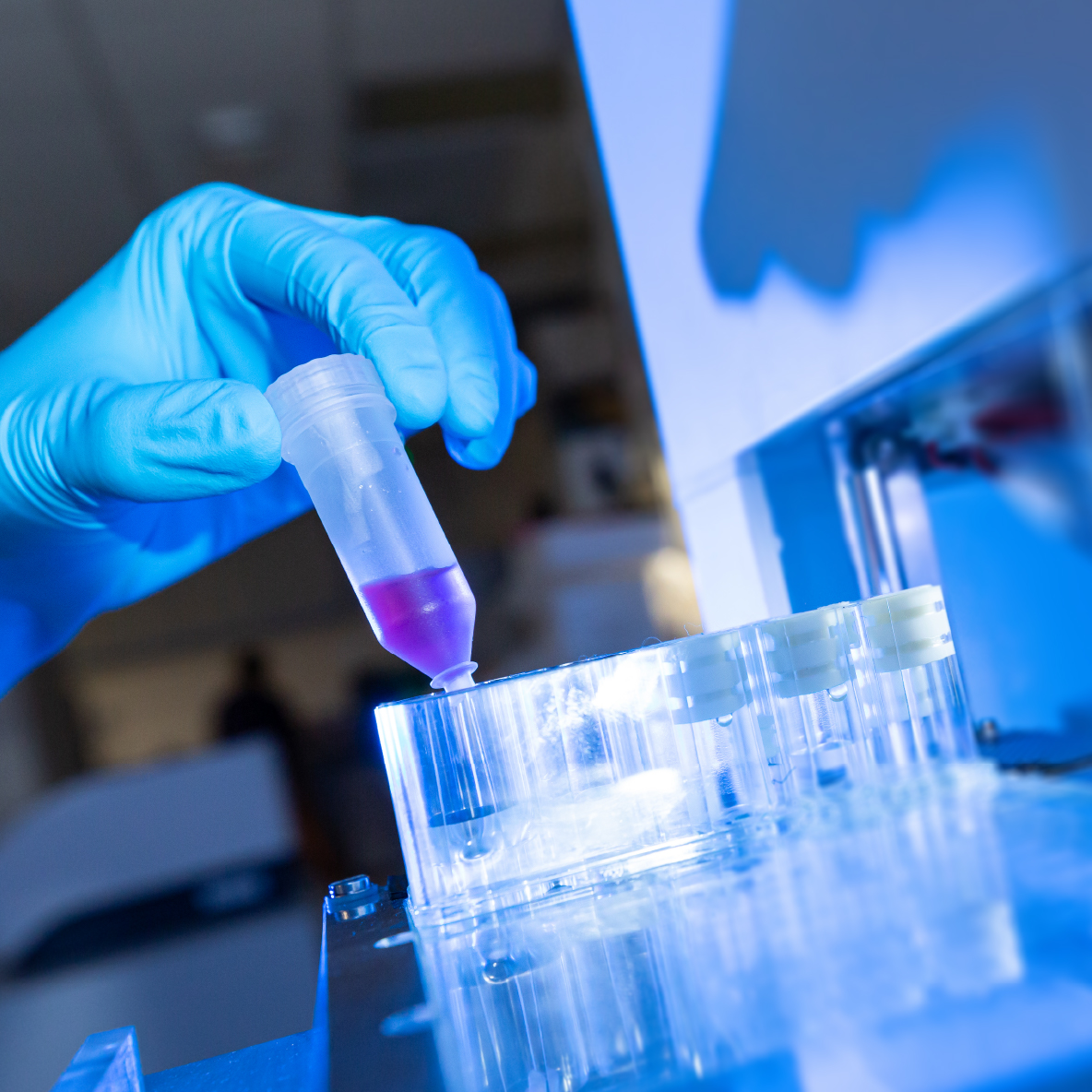 web_1184x1184_20230117_13