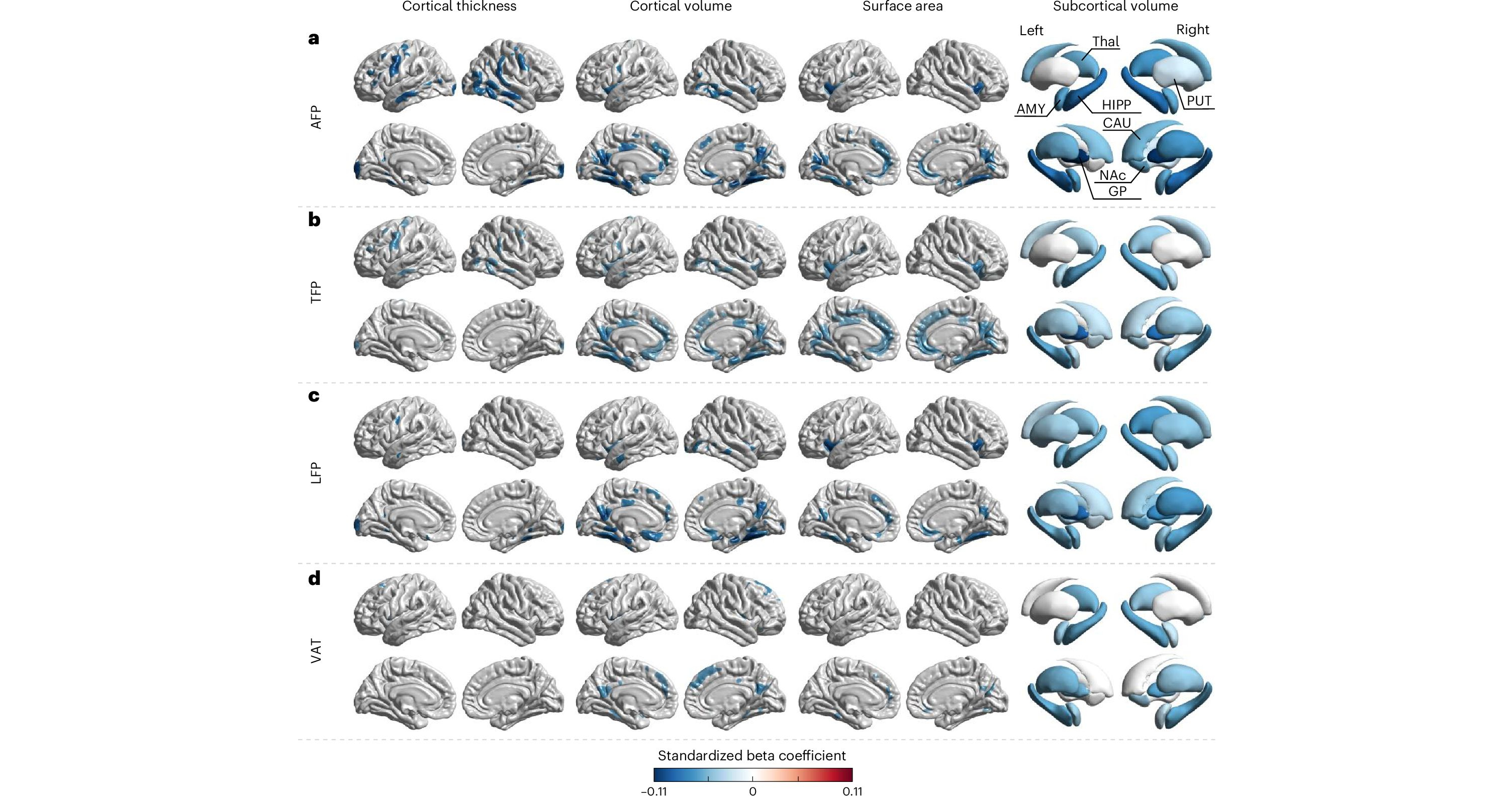 Associations of regional adiposity with cortical and subcortical morphometry. The blue colour indicates negative correlations.  a) AFP: arm fat percentage; b) TFP: trunk fat percentage; c) LFP: leg fat percentage; and d) VAT: visceral adipose tissue.