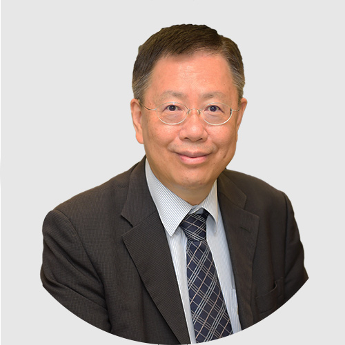 Professor TSAI Din-ping