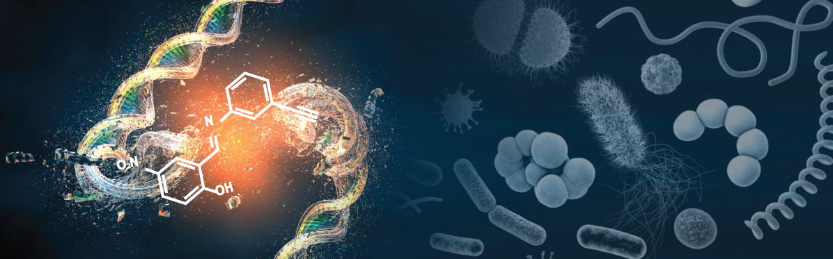 6_Discovery of antibiotic candidates to combat superbugs