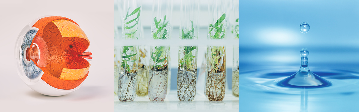 7_PolyU research papers published in Nature series journals_2