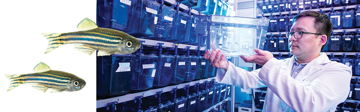 A different kind of fish story