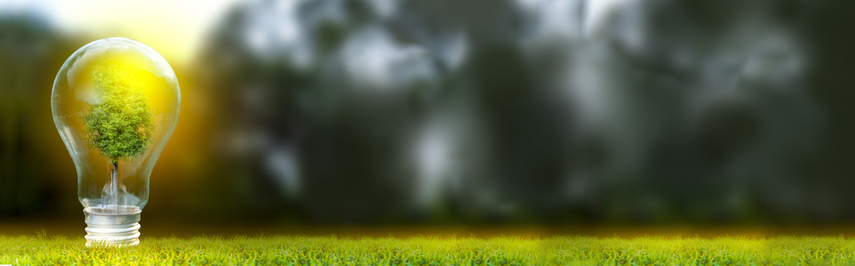 PolyU professor co-authored a research article in Nature to explore a new strategy for clean power generation