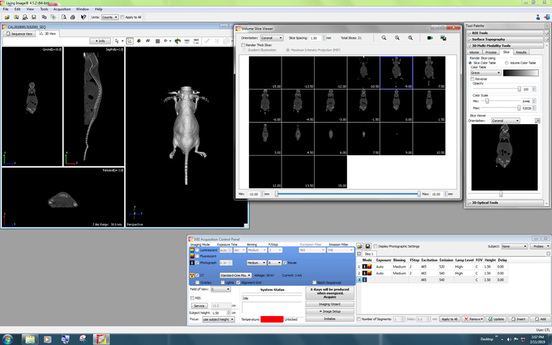 2 - Console screenshot_IVIS