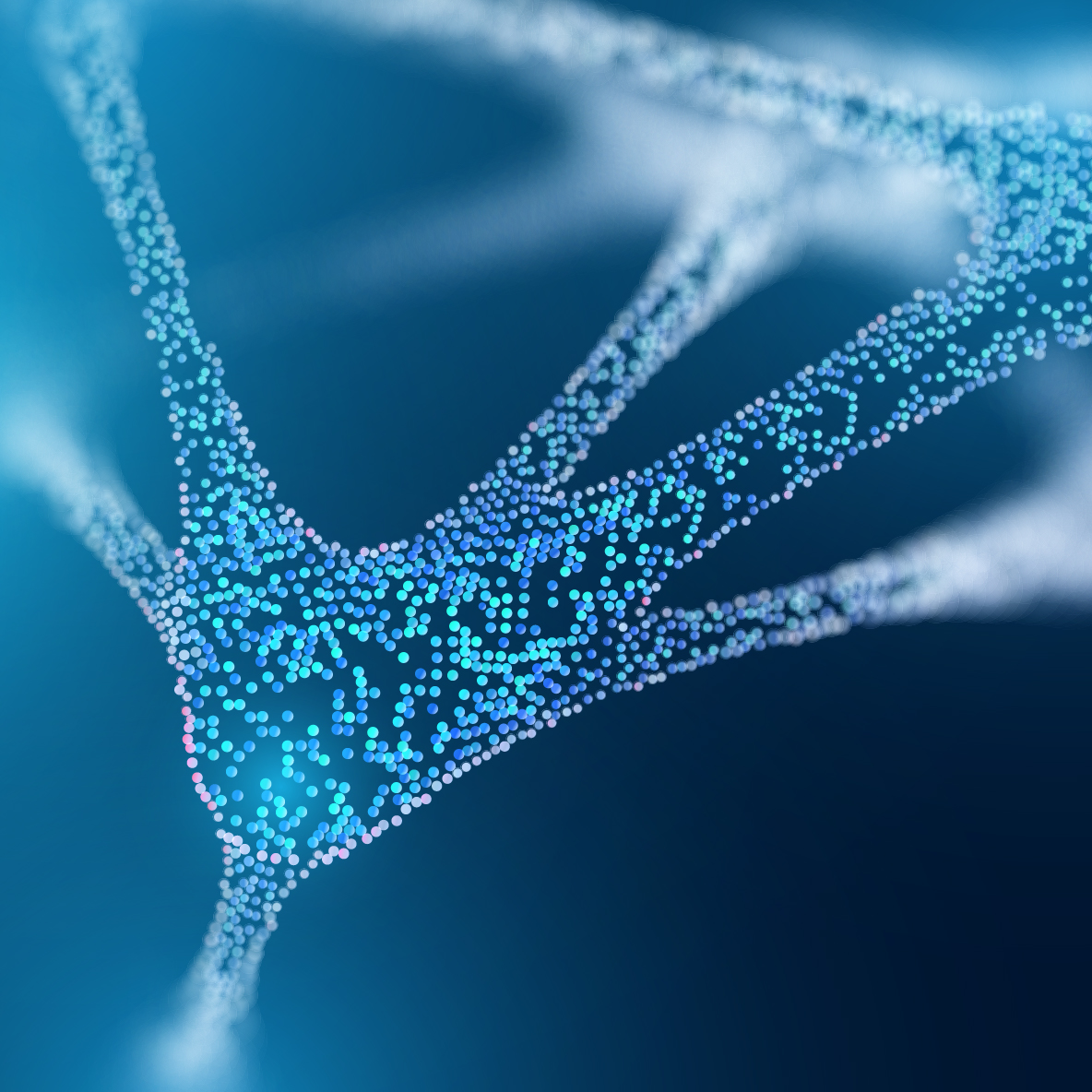 web_1184x1184_20230117_5