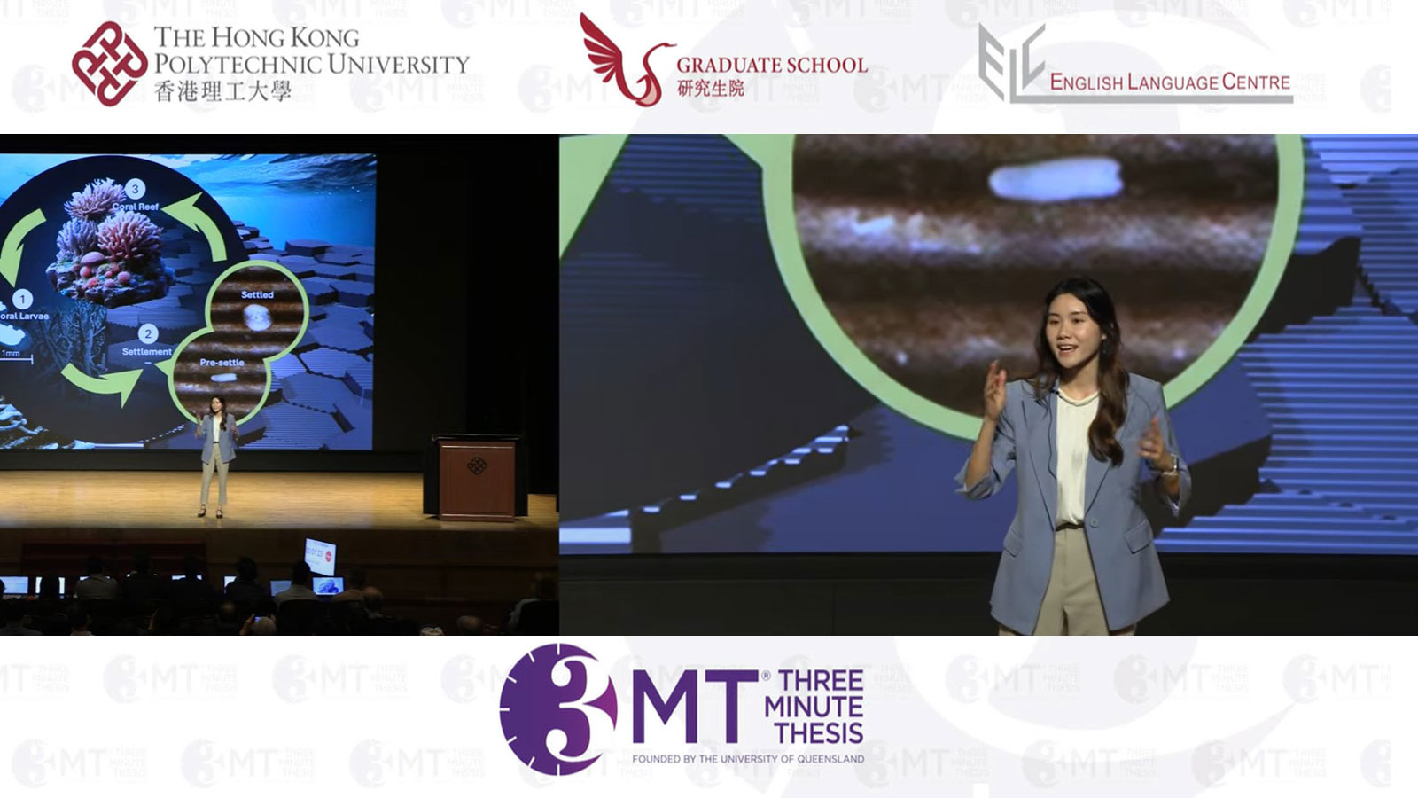 hall-of-fame-2024-second-runner-up-2-video-thumbnail