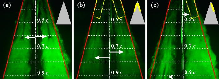 Fig4