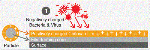 Amphiphilic core-shell particles