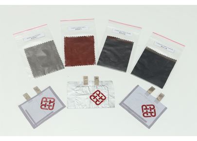 Impact Case_Zhen Zjian_battery_inparagraph_2