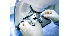 Programmes-Cover-12451