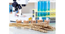 Programmes-Cover-12454