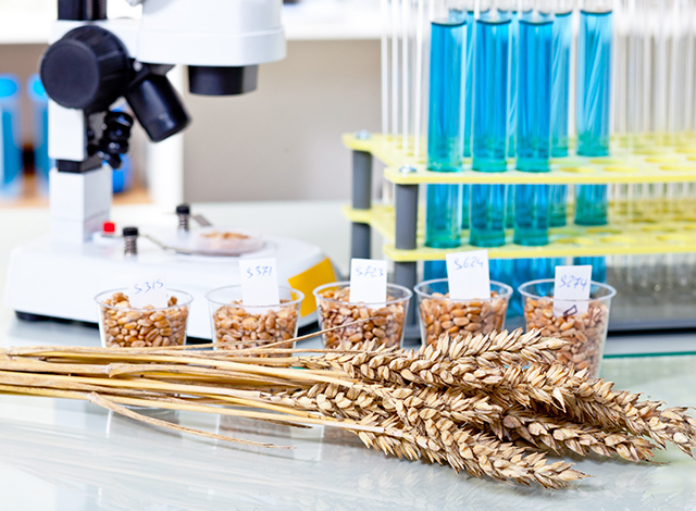 Programmes-Cover-12454