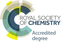 rsc_logo