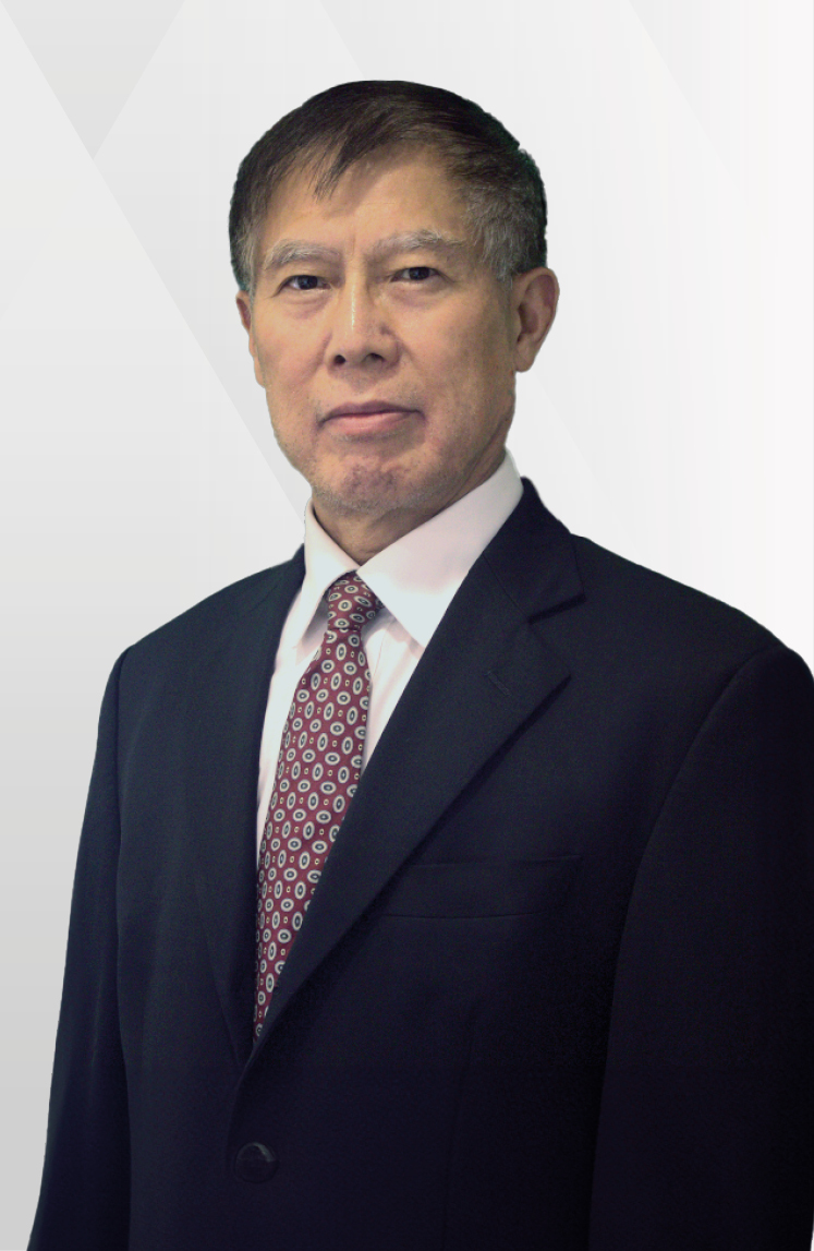 Ir Professor Jian-Hua YIN