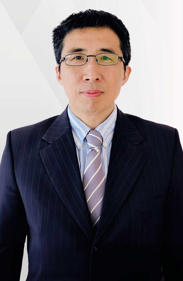 Professor WANG Lianzhou