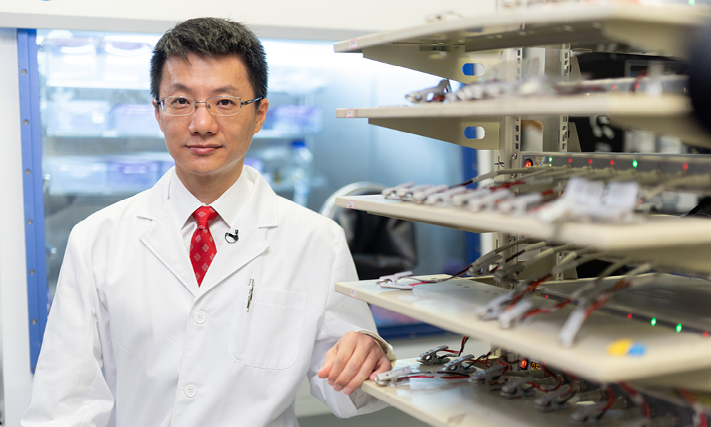 ZHENG Zijia_Quote_pic