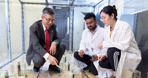 CHEN Qingyan_text_pic