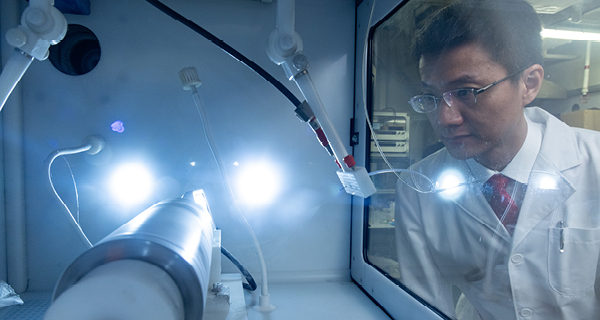 ZHENG Zijian_text_pic