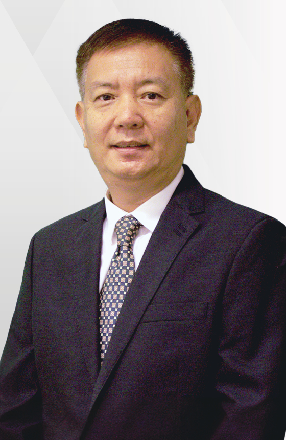 Professor WANG Tao