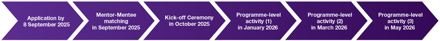 BM_mentorship_timeline