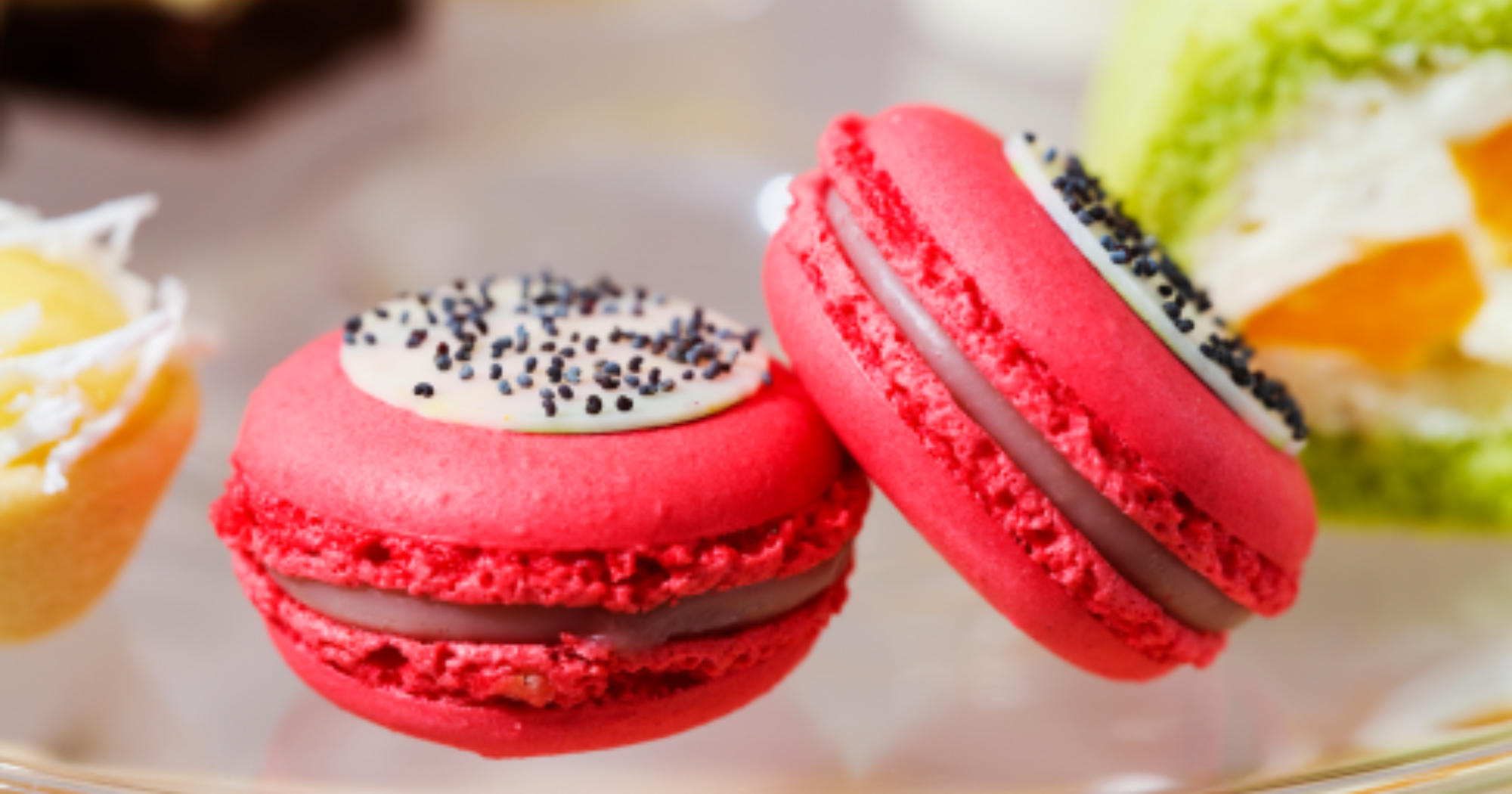 2_Y2Kool 2_2000x1050