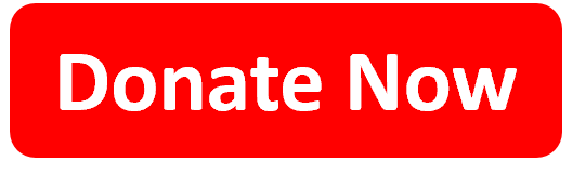 Donate Now_EN