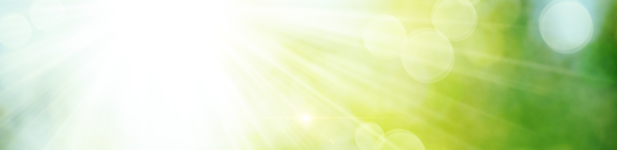 a166_2050x500