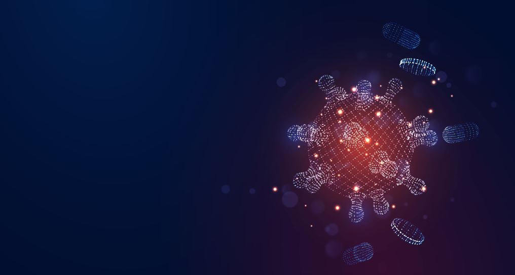 shutterstock_1656386548_impact case