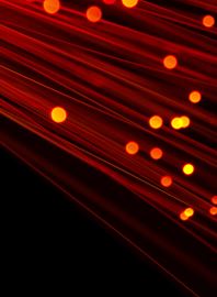 orange fiber bundle