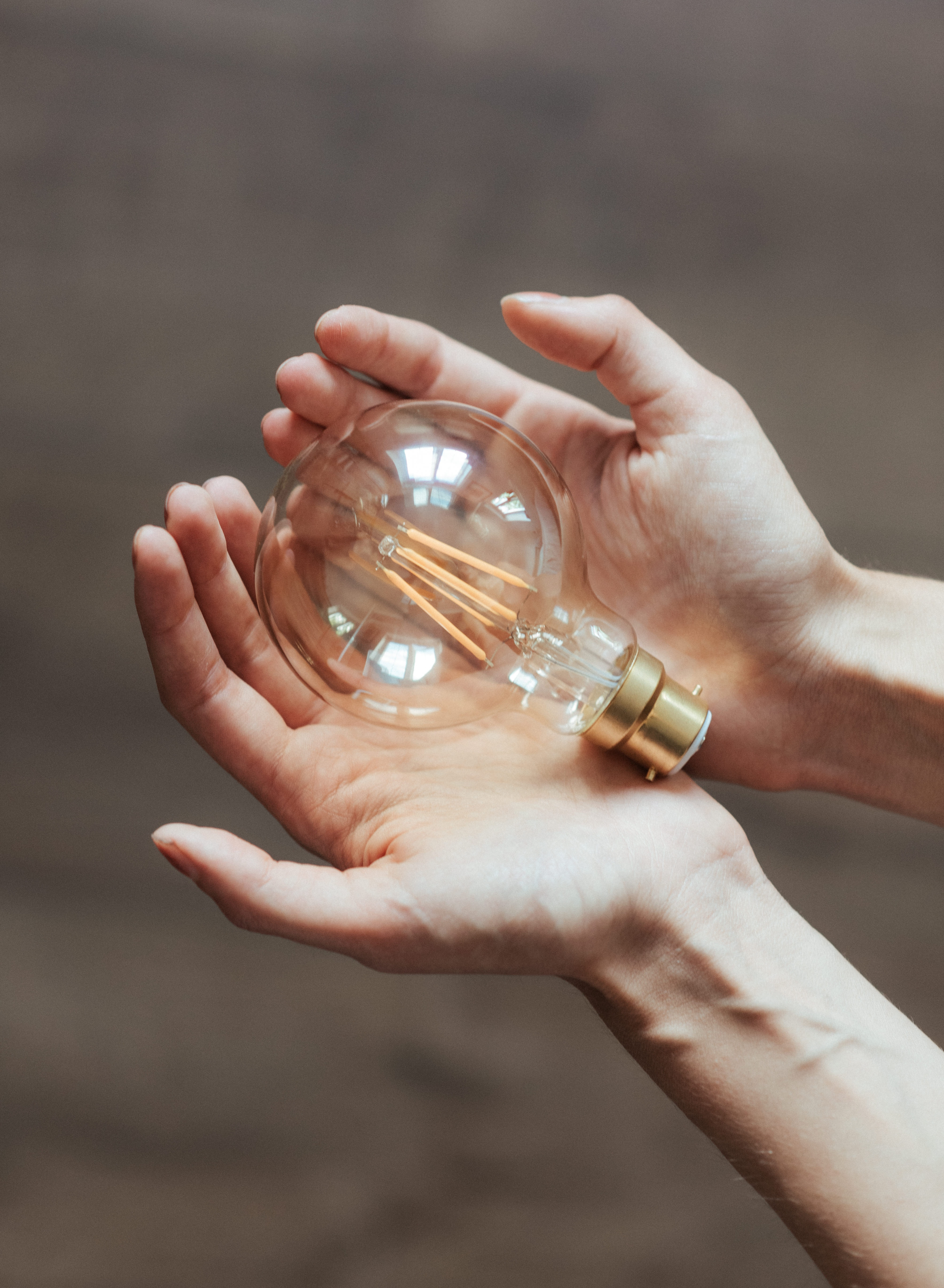 hands hold light bulb