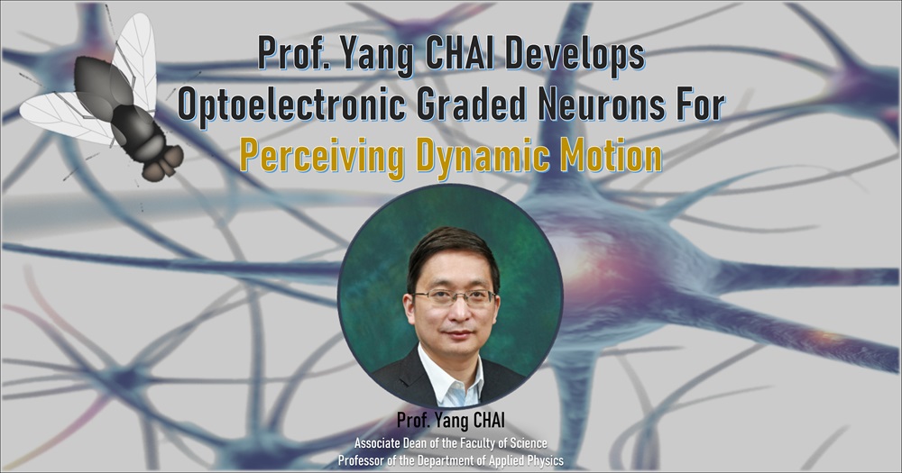 Prof Chai Optoelectronic graded sensor