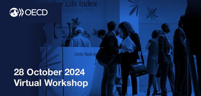 20241028 OECD Virtual Workshop