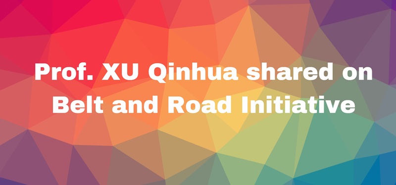 29Prof XU Qinhua shared on Belt and Road Initiative