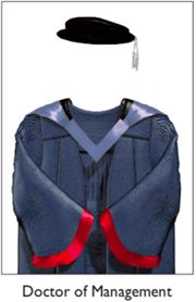 17 Doctor of Management