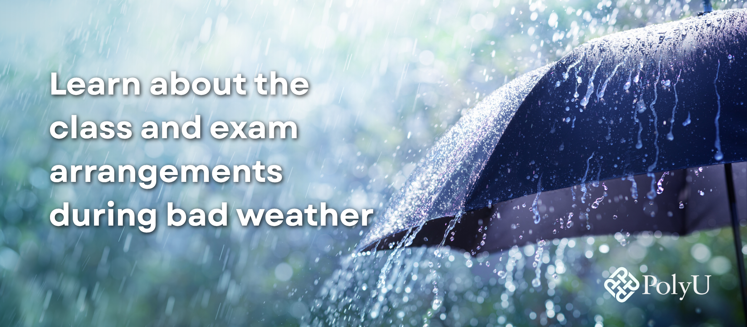 BadWeatherArrangements_HeroBanner