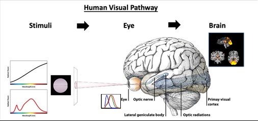 20220104_Dr Wei_RIF Project - Picture