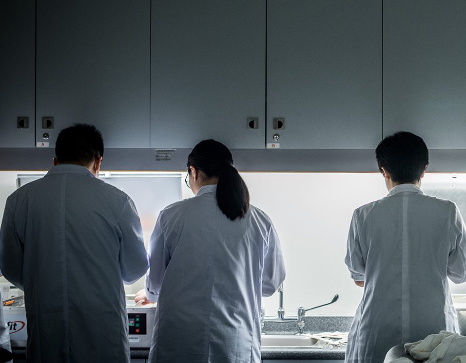 BSc in BME_programme overview_956x746