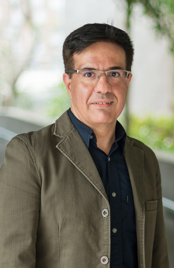 Dr Babak HASSAN BEYGI