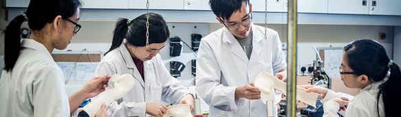 gain_career opportunities_1166x342