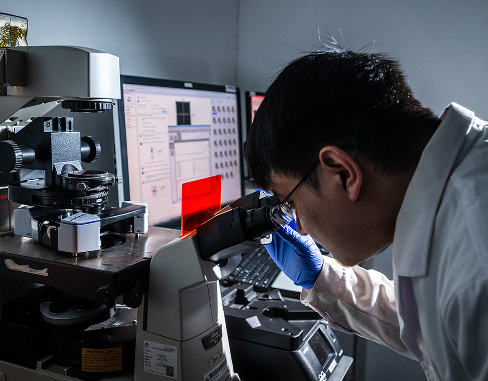 MSc in BME_teaching approaches_956x746