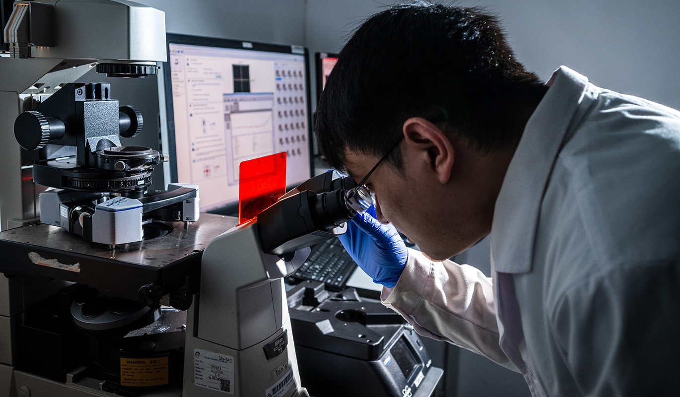 researchtheme3molecular cellular engineering  biomaterials1370x800