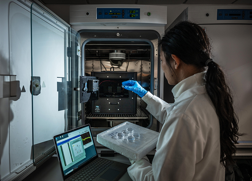 research_theme2_810x580