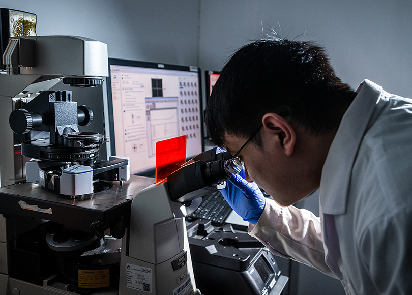 researchtheme3molecular cellular engineering  biomaterials810x580