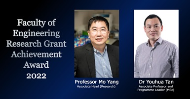 FENG Research Grant Award
