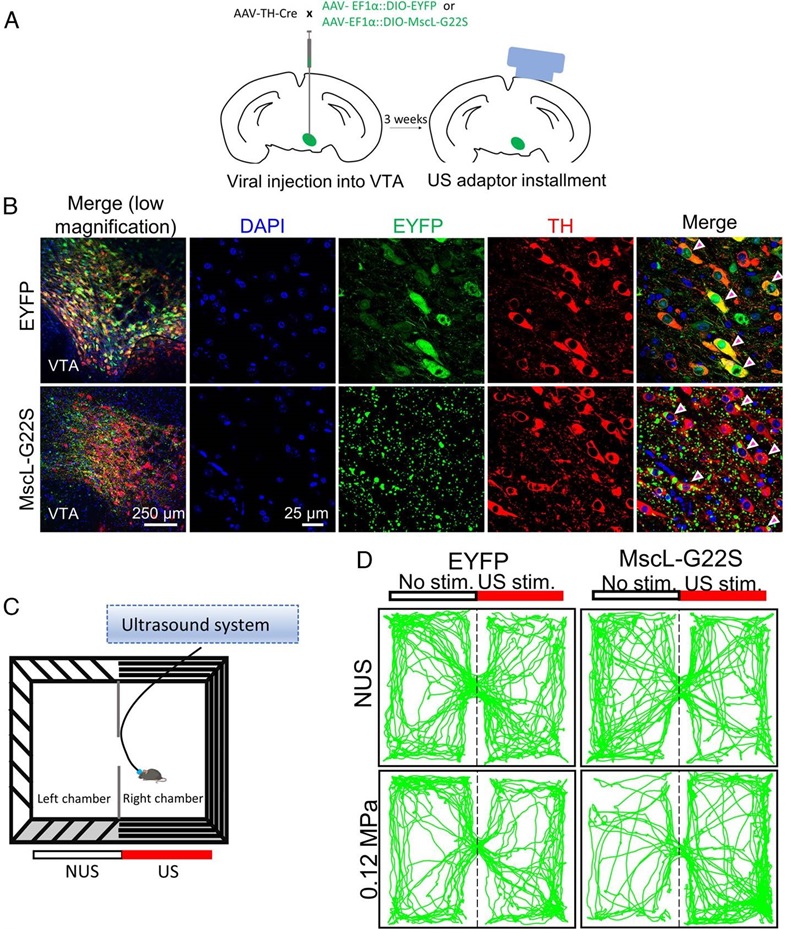 Lei_nature communication_PNAS_2